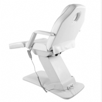 Beauty Chair Electric Skin Care Chair